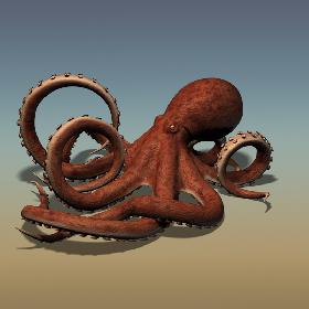 Octopus RIGGED